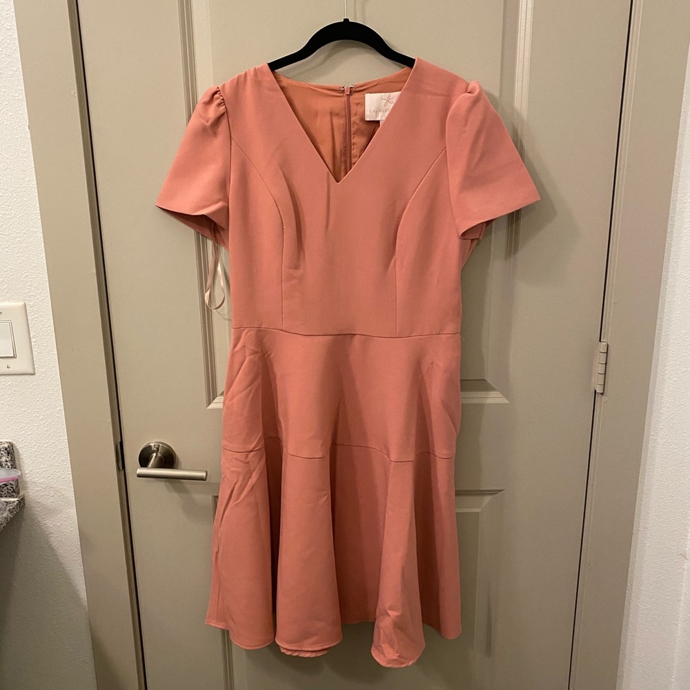 Gal meets glam Kate pink dress NWT